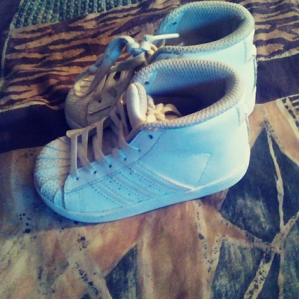 Shelltops - Picture 4 of 4